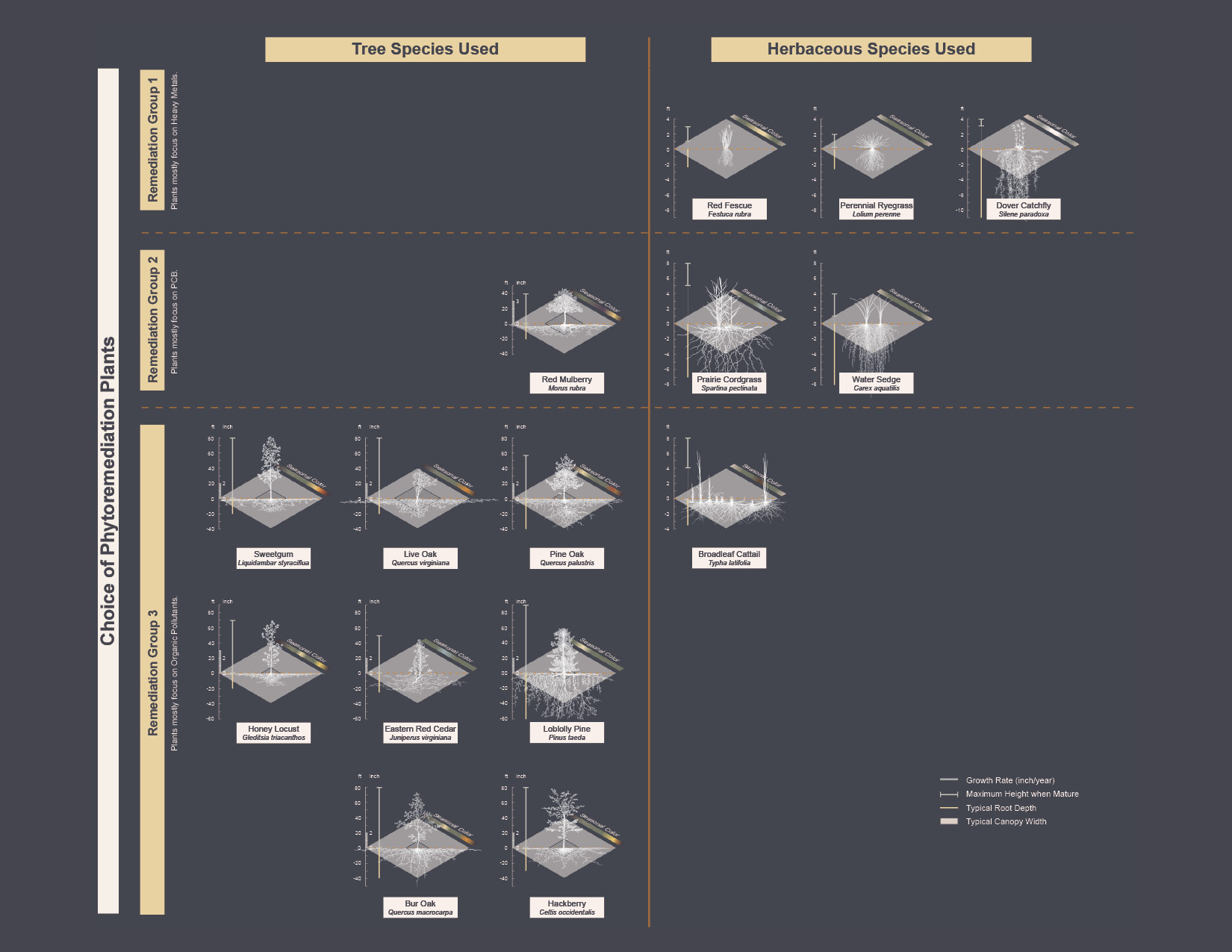 Project drawing