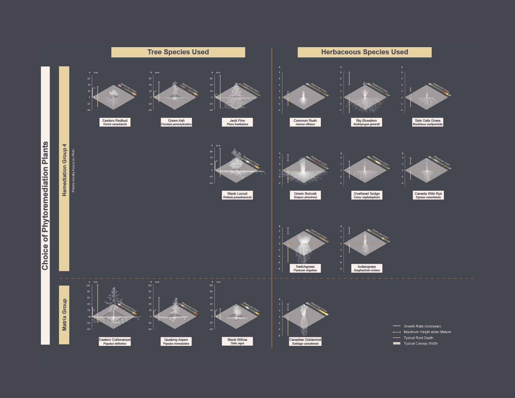 Project drawing