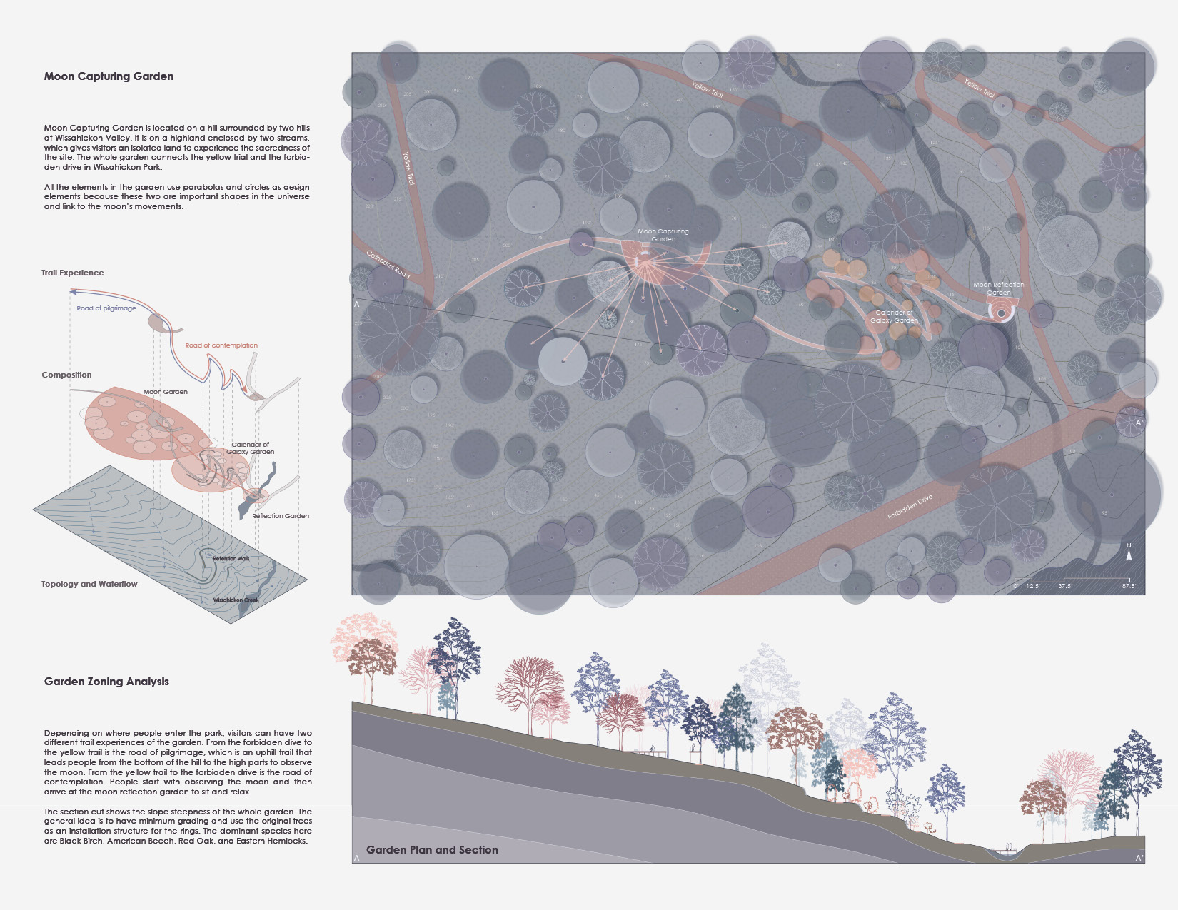 Project drawing